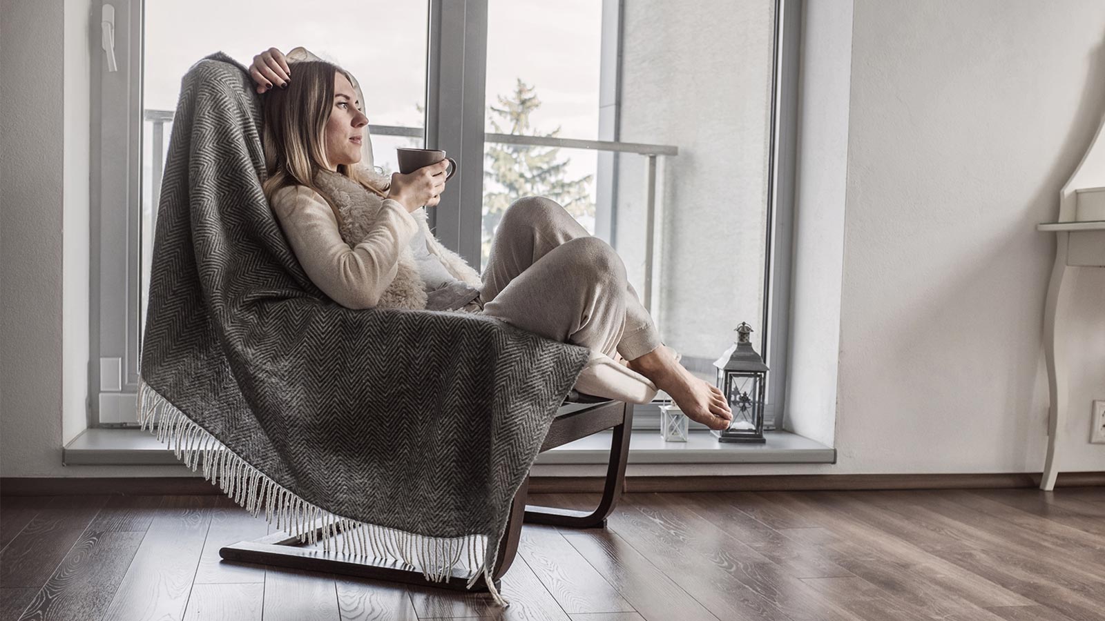 Brown and white dogs