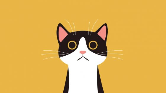 Cat illustration