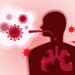 Brown and white dogs